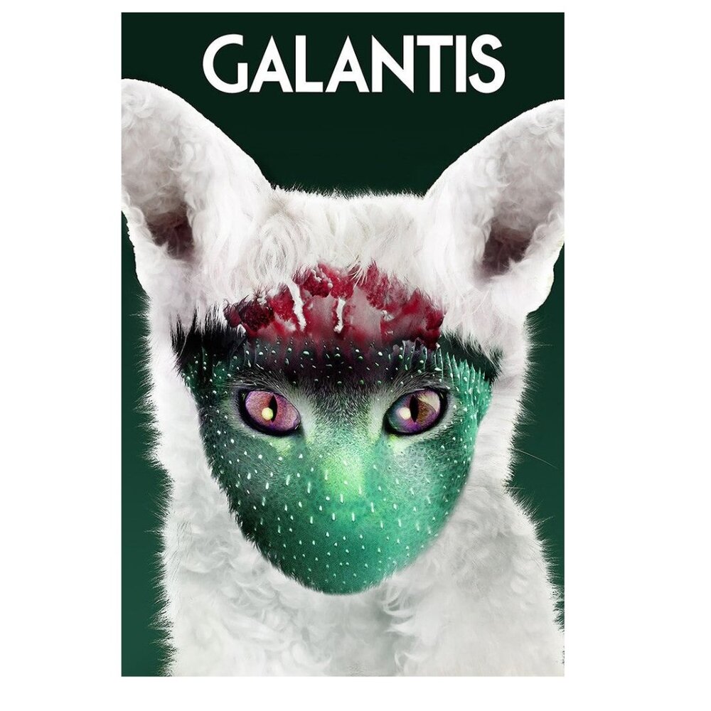 Galantis Runaway Music Poster  165